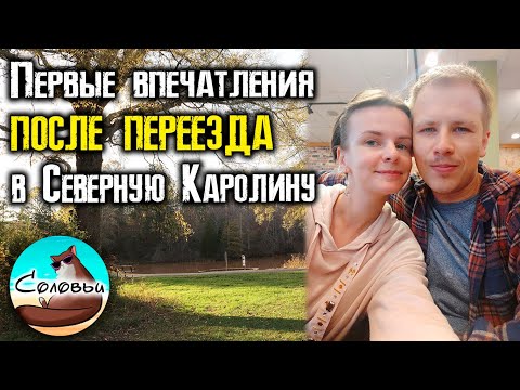 Первые впечатления после переезда из Флориды в Северную Каролину