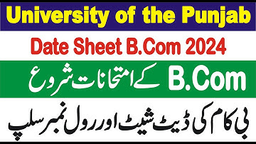 Date Sheet B.Com 2024 PU || Date Sheet Associate Degree in Commerce Part II 2024 Punjab University