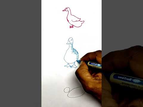 Duck Drawing Class 1 - YouTube