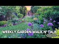 Weekly garden tour  alliums bearded iris late tulips lilacs geums azalea repetition plantings