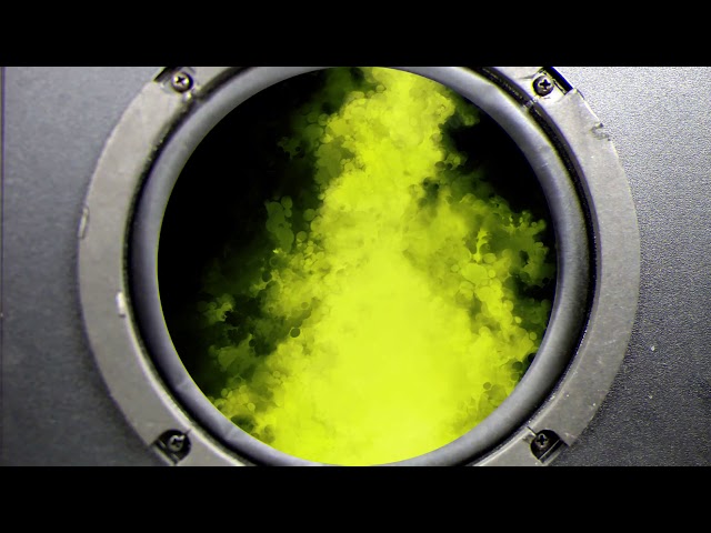 Thomas Schumacher - Scene