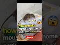 How to Make Mouse Trap at Home | Plastic Dabbe se Chuha Trap 😲 Shan Tech SKB #shorts