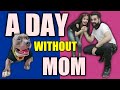 A day without MOM 😭 | 24 hours Challenge | Harpreet SDC