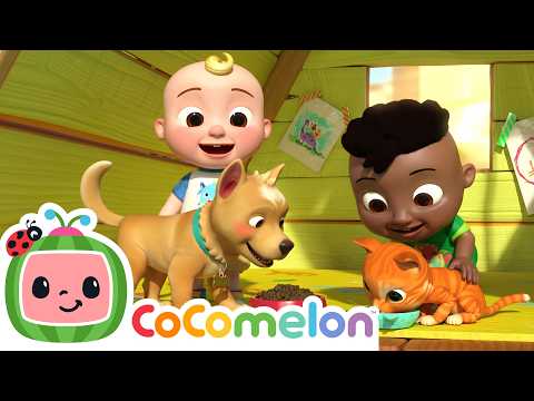 JJ & Cody Learn about opposites with their pets! 🐶🐱🔄 Cody and Friends! Sing with CoComelon
