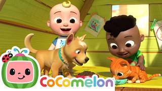 jj cody learn opposites their pets cody friends sing cocomelon