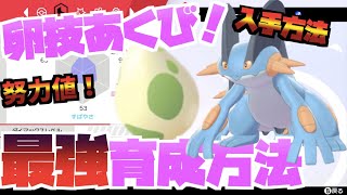 ポケモン剣盾 ラグラージ育成論 卵技あくび覚えさす方法 努力値 入手方法 ポケモンソードシールド Youtube