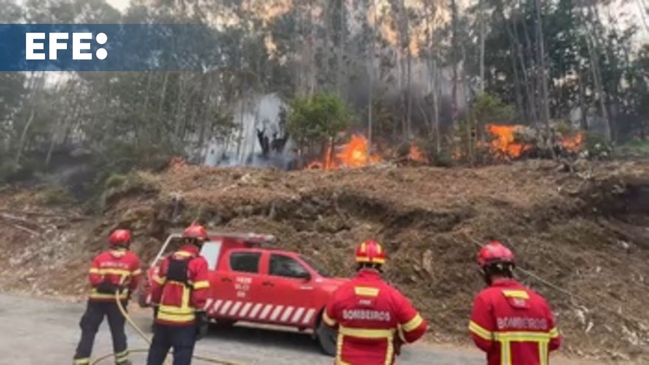 Más de 3.500 bomberos tratan de apagar los incendios en Portugal