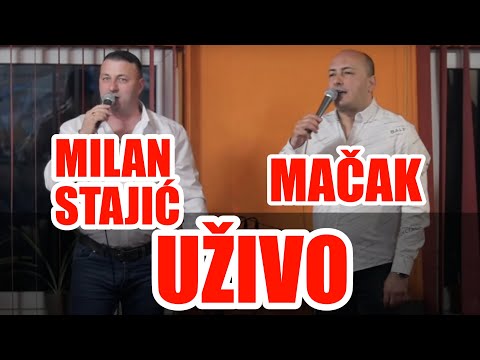 Mačak i Milan
