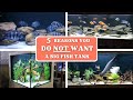 Why you do not want a big aquarium