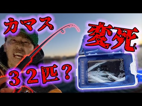 カマすorDie!?いやカマすisDead!!!大爆釣と変死、、、前中後編の前編!!!#釣り#関東釣り#カマス
