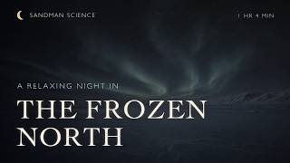 The Frozen North, Slowly Explained for Sleep | A Calm Arctic Night of Snow, Ice and Northern Lights screenshot 1