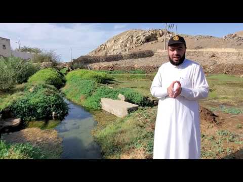 عين القري ة في محافظة ينبع النخل وتجمع كثيف لمياه العين