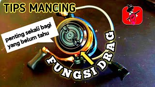 tips mancing,cara mainkan drag saat mancing