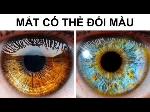 Video: Màu Mắt Thay đổi Như Thế Nào ở Trẻ Em