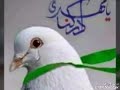 يازينب اجيتج عطشانه لكيتج يازينب يازينب اجيتج عطشانه لكيتج يازينب