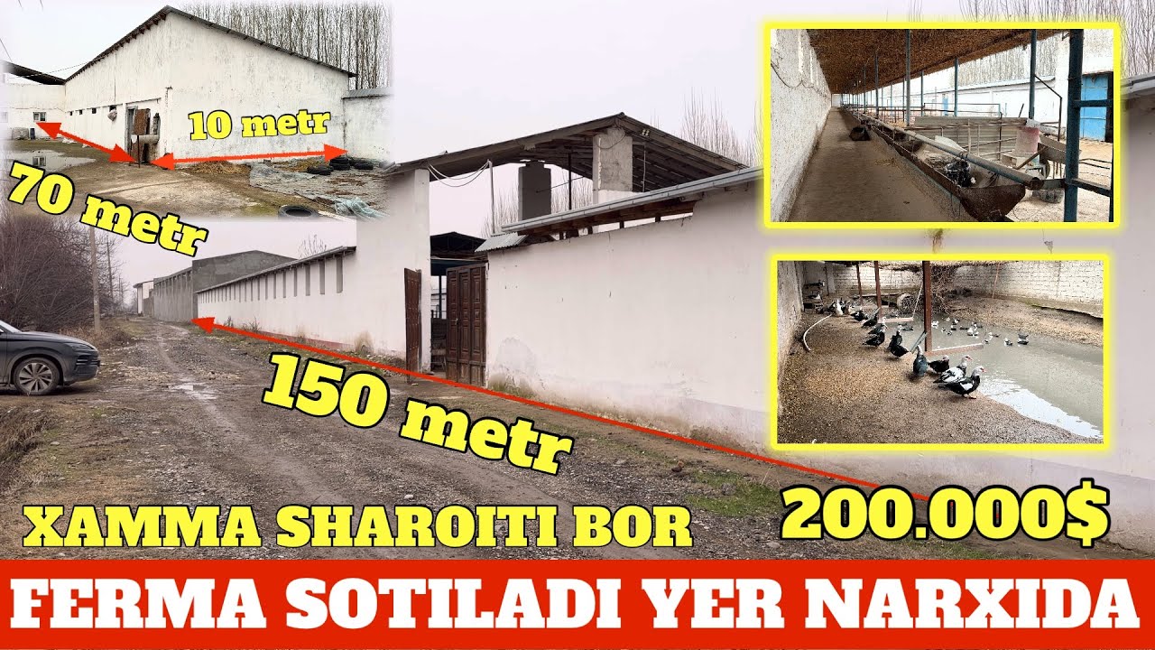 FERMA SOTILADI 25 SOTIX ZAMONAVIY FERMA YER NARXIDAN 50.000$ ZARARIGA 