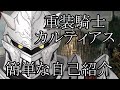 【自己紹介】重装騎士カルティアス【Vtuber】