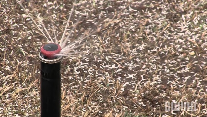 How to Winterize Your Home Irrigation System