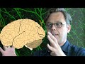 Tomáš Hromádka - Prečo nerozumieme mozgu | Ako funguje ľudský mozog