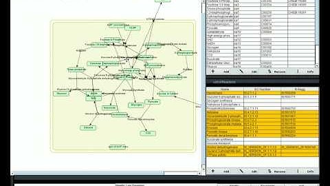Systems Biology Metabolic Modeling - Introduction