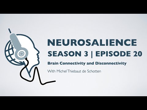 OHBM Neurosalience S3E20: Brain Connectivity and Disconnectivity with Michel Thiebaut de Schotten