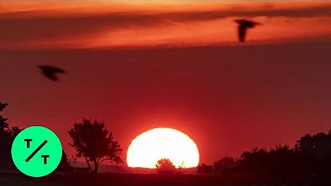 France, Germany Temperatures Top 100 Degrees as Heatwave Scorches Europe - DayDayNews