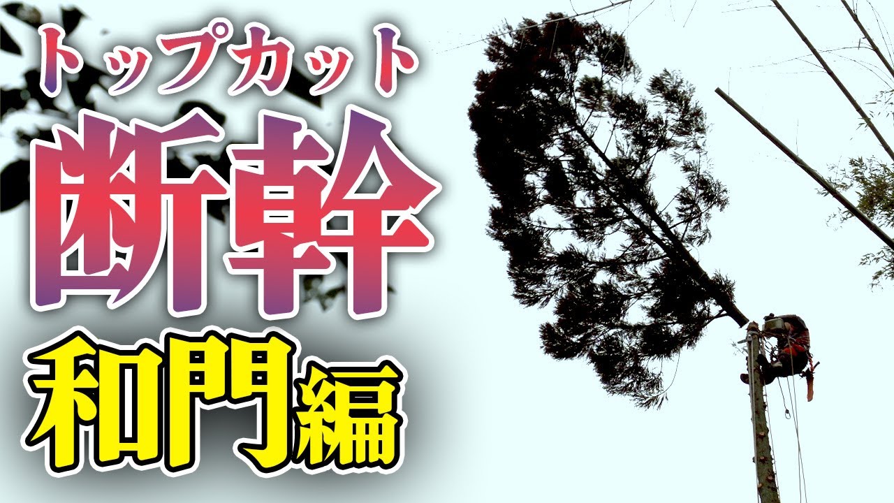 【断幹】トップカットの一部始終を全部見せます！｜今回は和門編！【ほぼノーカット動画】
