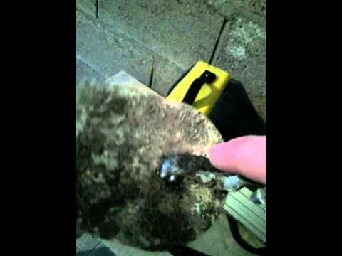 Бизон сварочный модель 205 не качество! - YouTube