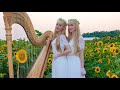 Healing Harp Music (HARP REFLECTIONS Original Song) Harp Twins