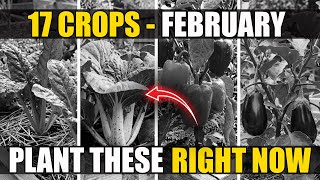 17 Crops You MUST Plant in February (Don't Wait for Spring!) | The Complete Homestead Garden Guide