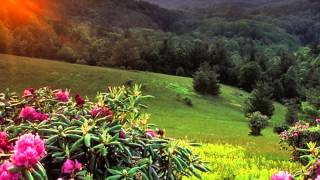 Psalms Chapter 91