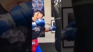 Dmitry Bivol SKILLFUL Bag Work #dmitrybivol #bivol #boxing