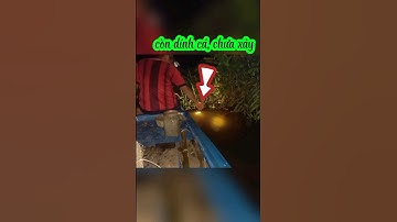 Cắm câu cá lóc #fishing #cắmcâu