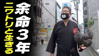 がんで余命3年。乗り越えられた理由…パートナーはニワトリの「きなこ」【CBC開局75周年 みちをひらく会社です。】