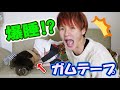 【寝起きドッキリ】顔面にガムテープ巻いてみたw