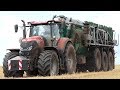 Case IH Optum 300 CVX Laying Out Slurry w/ Samson PG II 28 & 36-Meter Boom | Danish Agriculture