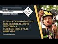 1 занятие Культура безопасности жизнедеятельности человека в современной среде обитания