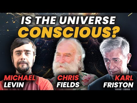 The "Meta" Hard Problem of Consciousness and Quantum Babbling with Levin ? Friston ? Fields