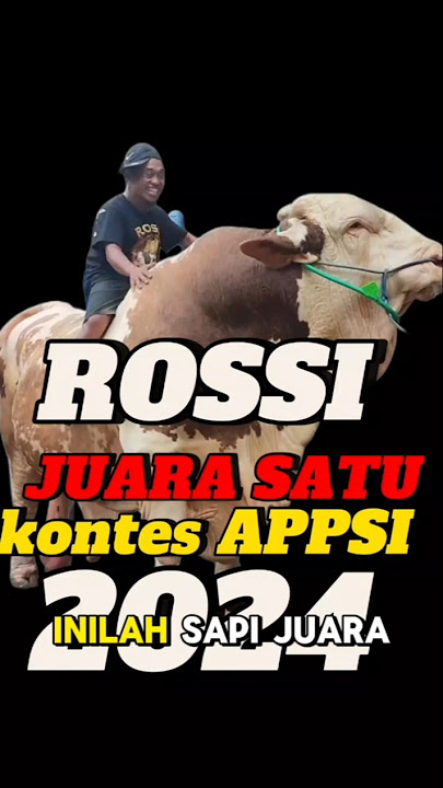 ‼️ROSSI 😱😱JUARA SATU KONTES SAPI APPSI 2024😱😱‼️#sapi #sapigemuk #cow