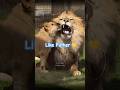 やっぱり親子🦁ヘソ天までパパそっくり💛 Like Father|#shorts