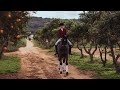 Bleed || Equestrian Music Video