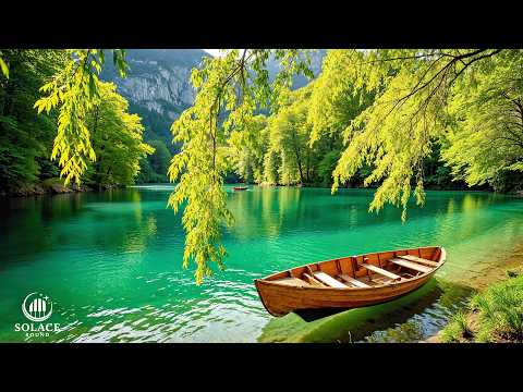 Calm Relaxing Music 🌿Stress Relief, Deep Sleep Music, Soothing Music