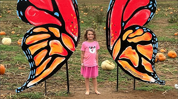 Hoverboard fun! #gotrax #hoverboard #gotraxglidepro