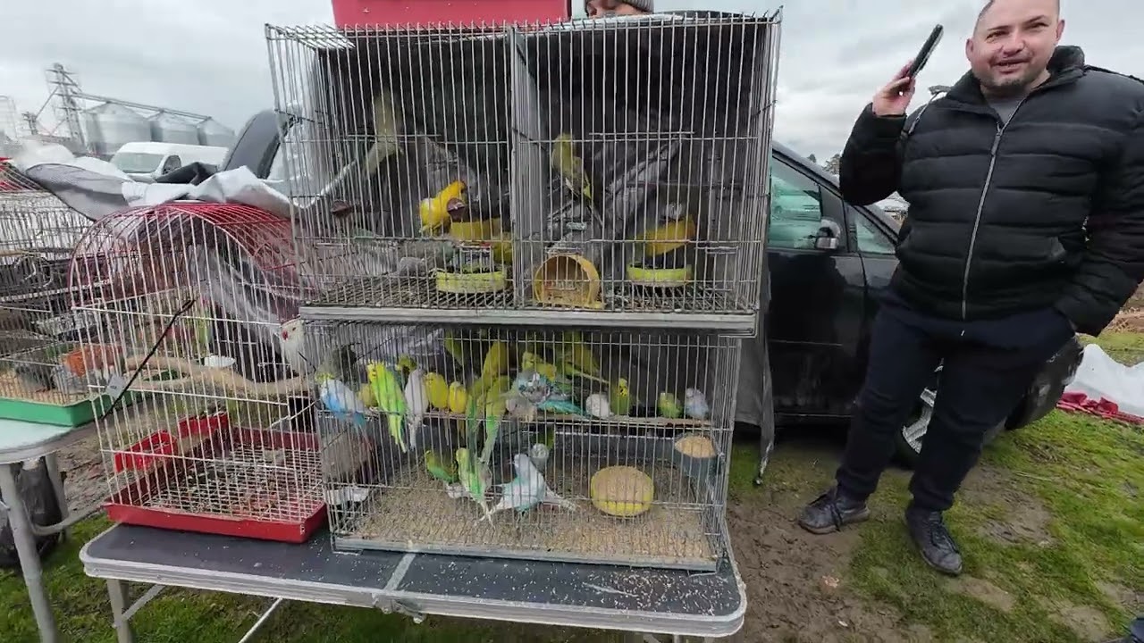 Vašar u Smederevskoj Palanci  15 februar 2026  I deo