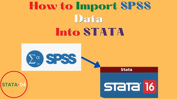 How to Import SPSS File into STATA
