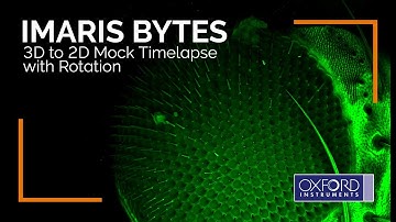 Imaris Bytes | 3D to 2D Mock Timelapse with Rotation