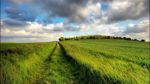 سورة الحاقة بصوت القارئ فارس محمد قاسم الأعجم