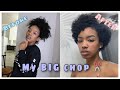 Big Chop 2020 | natural hair journey