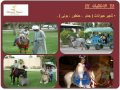 نجوم الصحراء 2011 