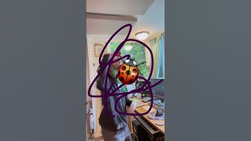 Thumbnail of Grossest Song Ever?! AHEE - Bug Eater #bassmusic #edm #dubstep